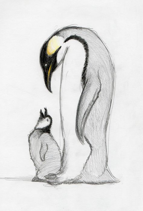 Tattoo - Parental Penguin by BananaGoddess.deviantart.com Penguin Sketch, Penguin Tattoo, Penguin Drawing, Penguin Art, Animal Sketches, Arte Animal, Nature Paintings, Art Drawings Sketches Simple, A Drawing