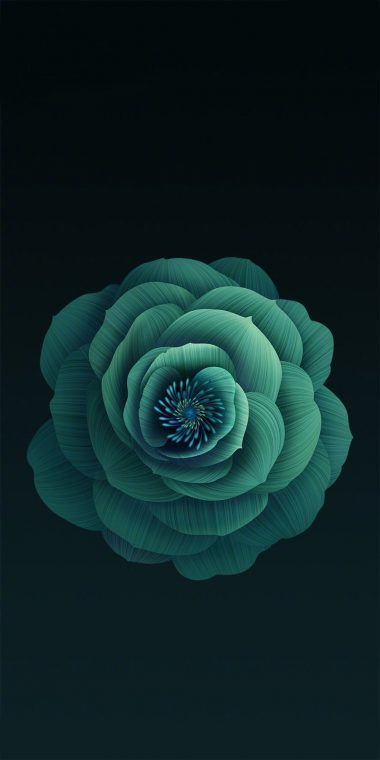 Xiaomi MI 6X Stock Wallpaper 3 - [1080x2160] Green Flower, Dark Background, Wallpapers, Iphone, Green