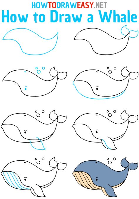 How to Draw a Whale Step by Step #WhaleDrawing #EasyDrawings #HowtoDrawEasy #EasyDrawingTutorials #WhaleDrawingEasy #DrawingGuides #EasyDrawingGuides #SimpleDrawings How To Draw Whales Step By Step, Whale Drawing Step By Step, How To Draw Whale, Animal Drawings Sketches Step By Step, Draw A Whale, Drawing Whale, Animals Sketches, Cool Drawings For Kids, Sea Creatures Drawing