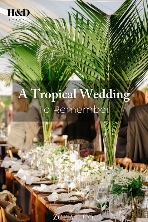 Bring the tropical ambiance and Caribbean wedding theme to your wedding day. Jamaica holds a special place in Claire and Justin's love story, so they decided to bring the island vibes to their wedding on Nantucket. Read about Claire and Justin's story and discover more tropical wedding decor ideas from their special day. Jamaican Theme Wedding Ideas, Caribbean Theme Party Ideas, Island Themed Wedding, Haitian Wedding Ideas Culture, Tropical Theme Wedding Reception, Modern Tropical Wedding Decor, Colonial Wedding Theme, Tropical Wedding Theme Elegant, Tropical Green Wedding