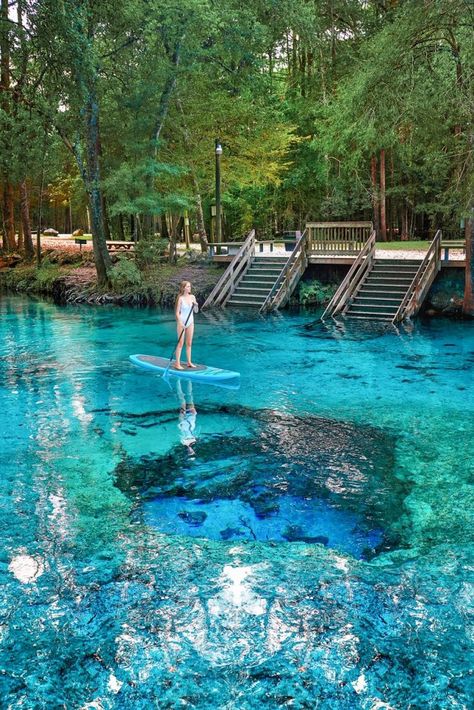 12 Prettiest Natural Springs In Florida - Florida Trippers Natural Springs In Florida, Florida Vacation Spots, Florida Travel Destinations, Tropical Lifestyle, Florida Adventures, Florida Springs, Jamaica Vacation, Travel Things, Going Places