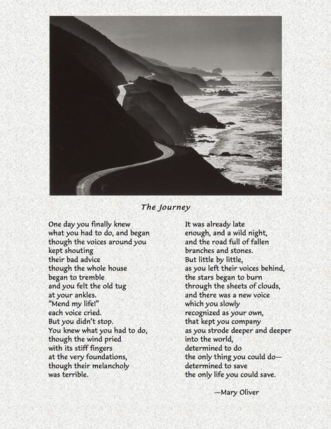 The Journey by Mary Oliver Mary Oliver The Journey, The Journey Mary Oliver, Mary Oliver You Do Not Have To Be Good, Mary Oliver Dog Poems, Mary Oliver Poetry, Poetry Mary Oliver, Mary Oliver Don't Hesitate, Mary Oliver Quotes, Mary Oliver Poems