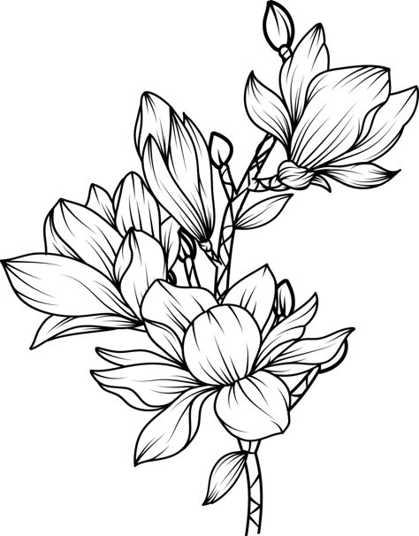 Magnolia Sketch, Magnolia Drawing, Printable Drawings, Phone Case Diy Paint, Flower Sketch, Black And White Line Art, Bee Illustration, White Line Art, Magnolia Flowers