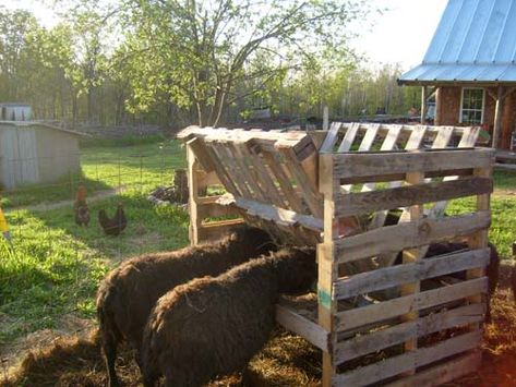 #Animal, #Diy, #Farm, #Feeder, #Garden Are you breeders? Do You need a hay feeder for your sheep or others animals? Here is a solution made of pallets, simple, easy, no cost and useful! Thanks to "That Family Blog" for this excellent idea! Sheep Feeders, Chicken Coop Pallets, Herb Garden Pallet, 1001 Pallets, Hay Feeder, Future Farms, Farm Projects, Pallet Creations, Mini Farm