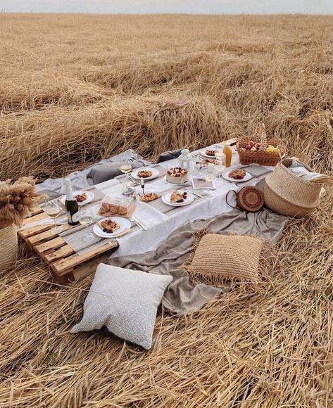 Summer is in full swing. The kids are on vacation and you may be out relaxing with your loved ones. Our favourite way to celebrate with family and friends is to plan a special picnic where we can enjoy nature and share some great food. Here are 5 top picnic ideas to try this summer.1. The... Picnic Winter, Blueberry Crumble Cake, Picnic Birthday Party, Fall Picnic, Picnic Inspiration, Picnic Essentials, Crumble Cake, Blueberry Crumble, Picnic Birthday