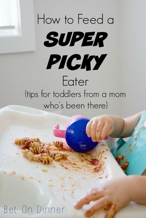 Picky Recipes, Healthy Recipes For Picky Eaters, Recipes For Picky Eaters, Kids Plates Set, Quick Clean Eating, Toddler Picky Eater, Picky Toddler Meals, Easy Toddler Meals, Toddler Dinner