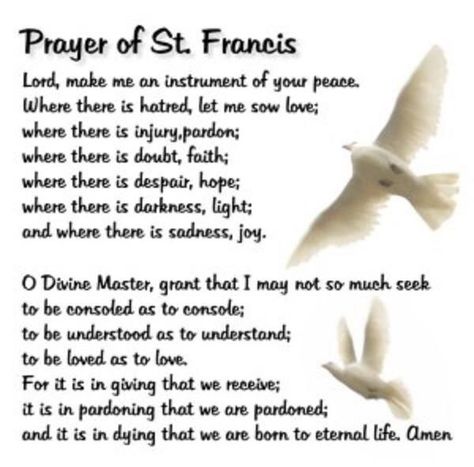 I love this poem.  We used to say it before our shift started on one of the floors I worked as a registered nurse. Prayer Of St Francis, Francis Of Assisi Prayer, St Francis Of Assisi, Prayer For Peace, Pray For Peace, Holy Father, Beautiful Prayers, Francis Of Assisi, Inspirational Prayers