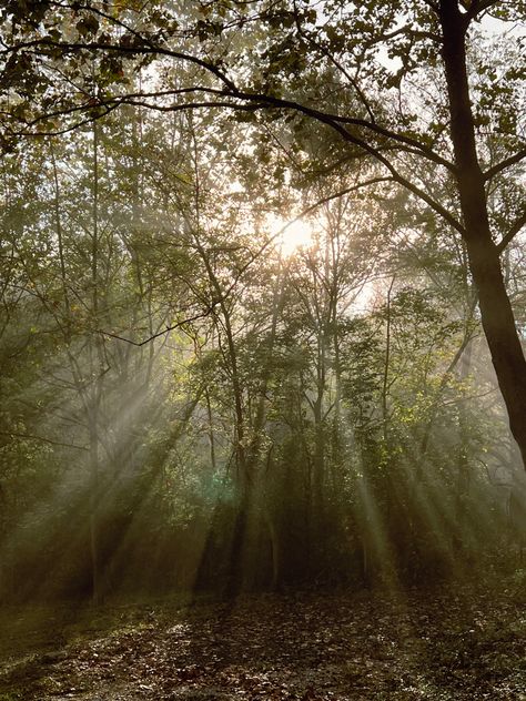 Nature, Early Morning Fog Aesthetic, Light Autumn Aesthetic, Morning Fog Aesthetic, Morning Light Aesthetic, Dark Morning, Morning Reflection, School Core, Journal Images