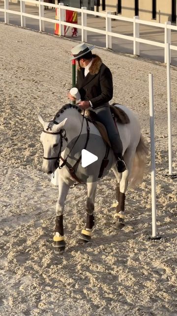 Magdalena Dudzin on Instagram: "Boa noite 🇵🇹🌙 The International Working Equitation competition in Segovia, Spain, was dominated by the King of WE, Gilberto Filipe. 👑🇵🇹 I don’t know how this guy manages it all. He traveled over 600 km with 3 Lusitano horses: Morante, Iranio, and Luar. 🎠 Imagine the effort, hard work, and sacrifices made to bring horses to such a level that they rank at the top among champions from several European countries. 🫡 He came and swept the competition. This doesn’t mean that the other riders were far behind. Everyone fought bravely with their horses. There were real stars among them. 🤩 🇪🇸🇫🇷🇸🇪🇨🇭It was beautiful to watch this competition. The atmosphere was wonderful. 🥰 I got to know a few competitors more closely. Wonderful people. ♥️ You could fee Horses Mating Equestrian, Lusitano Dressage, Horse Mate, Working Equitation, Farm Horses, Segovia Spain, Lusitano Horse, Pony Rider, Good For Me