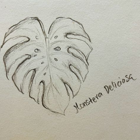 Monstera drawing Monstera Leaf Sketch, Monstera Sketches, Monstera Plant Sketch, Monstera Deliciosa Drawing, Monstera Plant Drawing, Dorm Paintings, Leaves Sketch, Plant Sketches, Diy Pottery Painting