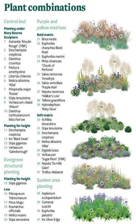 Garden Types, Layered Landscape, Taman Diy, Flower Garden Plans, Desain Lanskap, Garden Design Plans, Have Inspiration, Plant Ideas, Creative Gardening