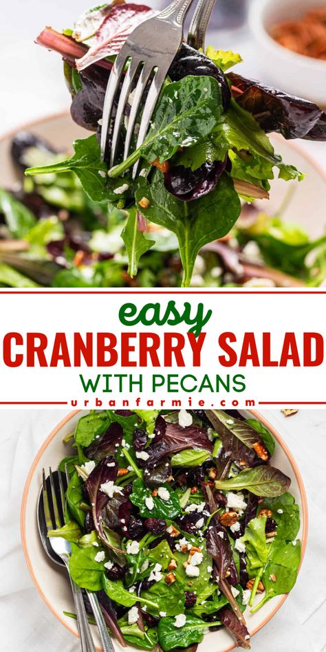 This easy cranberry salad with pecans is a protein-packed delight that is perfect as a side salad, light lunch, or to add to your holiday table. With tangy goat cheese, sweet cranberries, crunchy pecans, and a zesty dressing, this flavorful salad is a crowd-pleaser that's ready in just 10 minutes. Cranberry And Walnut Salad, Cranberry Walnut Feta Salad, Spinach Cranberry Walnut Salad, Salad With Pecans And Cranberries, Salad With Craisins Recipes, Salad Recipes With Cranberries, Easy Cranberry Salad, Salad With Cranberries And Pecans, Walnut Feta Salad