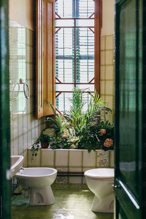 Plants In Bathroom, Barge Interior, Bathroom Stock, Plants Bathroom, Dutch Barge, Italian House, Bathroom Plants, Interior Plants, Plant Health