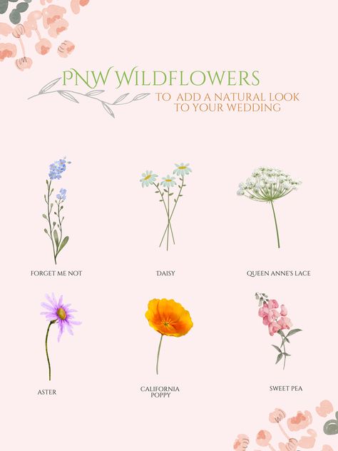 Wild Flowers Types, Wild Flowers Names, Wildflowers And Their Meanings, Types Of Wildflowers Names, Wild Flower Types, Wildflower Types, Wildflower Names, Pnw Wildflowers, Washington Flowers