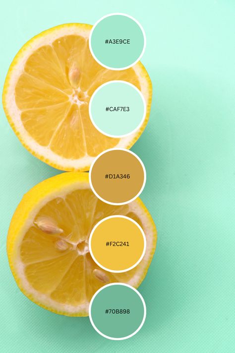 Use this color palette/color combo for inspiration on your next project! #colorpalette #colorcombos #lemon #mint #summerstyle Mint Color Palette, Yellow Kids Rooms, Mint Color Palettes, Lemon And Mint, Color Plan, Color Palette Yellow, Color Schemes Colour Palettes, Lemon Mint, Brand Color Palette