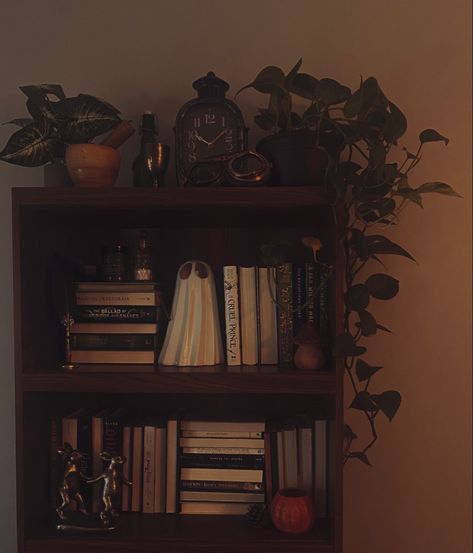 Aesthetic bookshelf inspiration Dark Wood Bookshelf Styling, Moody Bookshelf, Black Bookshelf Aesthetic, Dark Boho Bookshelf, Black Bookshelves Aesthetic, Wooden Bookshelf Aesthetic, Vintage Bookshelf Aesthetic, Sapphic Academia, Brown Bookshelf Aesthetic