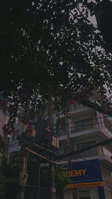 Broken Asethic, Asethic Videos, Esthetic Video, Lofi Video, Sunset Quotes Instagram, Beautiful Flowers Photography, Sky Photography Nature, Dark Nature Aesthetic, Adventure Aesthetic