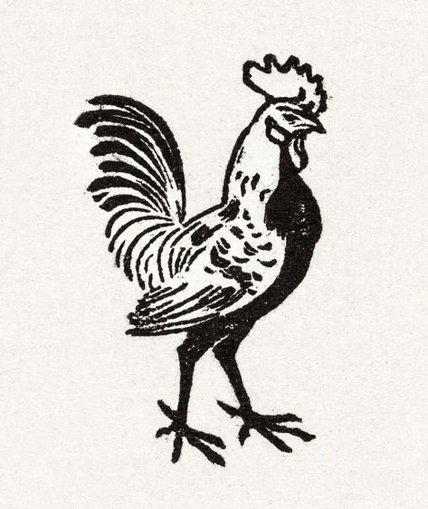 Medieval Woodcut, Rooster Illustration, Chicken Tattoo, Rooster Tattoo, Vintage Tattoos, Cowboy Tattoos, Chicken Illustration, Medieval Tattoo, Free Illustration Images