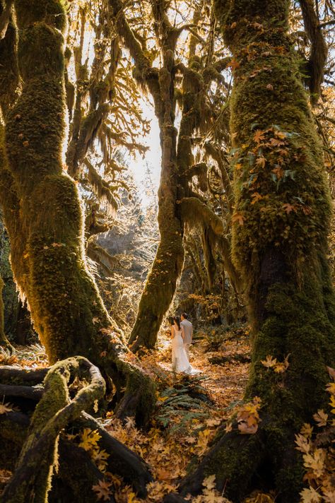 Bride and groom walking through the Hoh Rainforest during their fall elopement day in Olympic National Park Hoh Rainforest Elopement, Forest Micro Wedding, Cheap Elopement Ideas, Olympic National Park Wedding, Olympic National Park Elopement, Rainforest Elopement, Emo Wedding, Elopement Forest, Magical Elopement