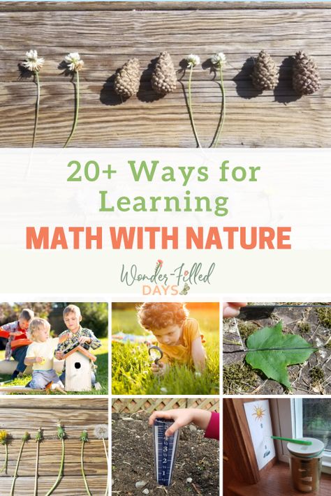 20+ Ways for Learning Math With Nature - Wonder-Filled Days Maths In Nature, Ideas For Learning, Free Math Printables, Nature School, Preschool Lesson Plans, Math Printables, Homeschool Math, Preschool Books, Preschool Lessons