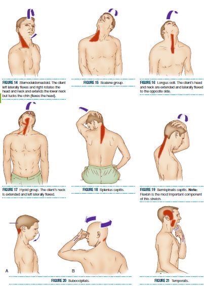 Gontlets Design, When To See A Chiropractor, Neck Therapy Exercises, Neck Pain Exercises, Neck And Shoulder Exercises, Body Massage Techniques, Bolesti Chrbta, Trening Sztuk Walki, Physical Therapy Exercises