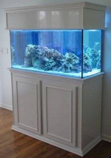 Bookshelf Aquarium Stand & Canopy Plans on PopScreen Fish Tank Cabinets, Diy Aquarium Stand, Aquarium Cabinet, Aquarium Stands, Fish Tank Stand, Diy Fish Tank, Cool Fish Tanks, Fish Tank Design, Saltwater Fish Tanks