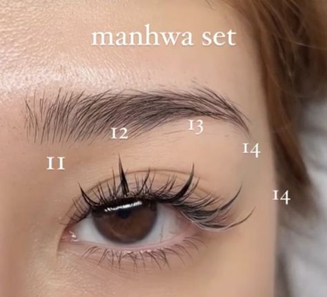 Eye Lashes Styles, Natural Manhua Lash Extensions, Fake Lashes For Asian Eyes, Anime Cat Eye Lash Extensions, Asian Lash Extensions Mapping, Hybrid Anime Lash Extensions, Manhwa Lashes Extension, Anime Eye Lashes Extensions, Anime Lash Extensions Natural