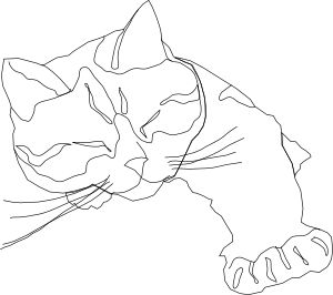 Missiridia Sleepy Calico Cat Line Drawing Only clip art Cat Line Drawing, Cat Outline Tattoo, Kittens Coloring, Zentangle Animals, Cat Outline, Simple Line Drawings, Contour Drawing, White Drawing, Cat Quilt