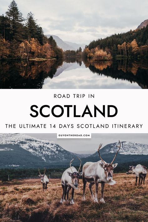 Scotland Itinerary, Best Of Scotland, Scotland Travel Guide, Scotland Vacation, Scotland Road Trip, Scotland Map, Ultimate Road Trip, Road Trip Adventure, Visit Scotland