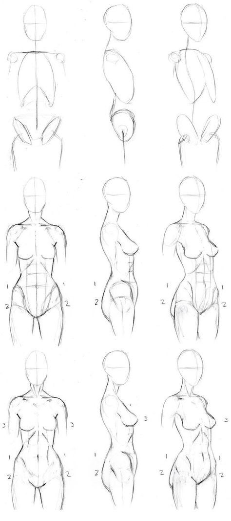 Ako Kresliť, Female Drawing, Body Sketches, Anatomy Sketches, Drawing Faces, Digital Paintings, Anatomy Drawing, Poses References, Digital Painting Tutorials