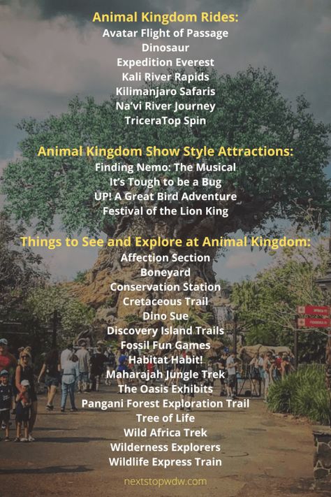 Animal Kingdom Rides List, Animal Kingdom Must Do List, Epcot 2023, Animal Kingdom Map, Planning A Disney World Vacation, Animal Kingdom Rides, Disney World Animal Kingdom, Universal Trip, School Planning