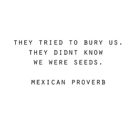 Proverbs Tattoo, Mexican Proverb, Chicano Quote, Mexican Quotes, Mexican Tattoo, American Quotes, Proverbs Quotes, Truth Quotes, Love Love Love