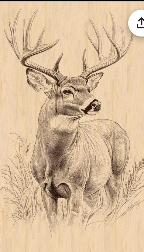 Western Charcoal Drawing, Wood Burning Drawings, Buck Tattoo Design, Sketches Of Deer, Deer Pyrography, Animal Drawings Sketches Pencil, Deer Antlers Drawing, Buck Drawing, Drawing Cowboy