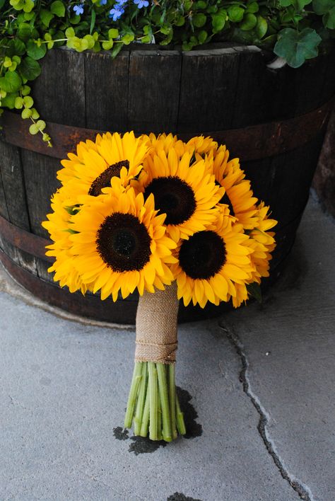 Sunflower Hand Bouquet, Sunflower A Bouquet Of Flowers, Simple Sunflower Bouquet Wedding, Sunflower For Wedding, Simple Sunflower Bouquet, Sunflower Bouquet Aesthetic, Flower Bouquet Sunflower, Sunflower Bouquet Wedding, Fall Sunflower Weddings