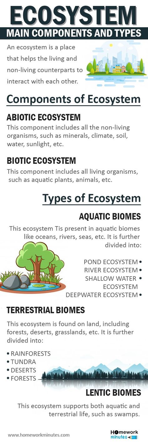 Types Of Ecosystems, Ecosystem Activities, Biotic And Abiotic, Ecosystems Projects, School Works, Optical Illusion Drawing, Illusion Drawings, Career Success, Ecosystem