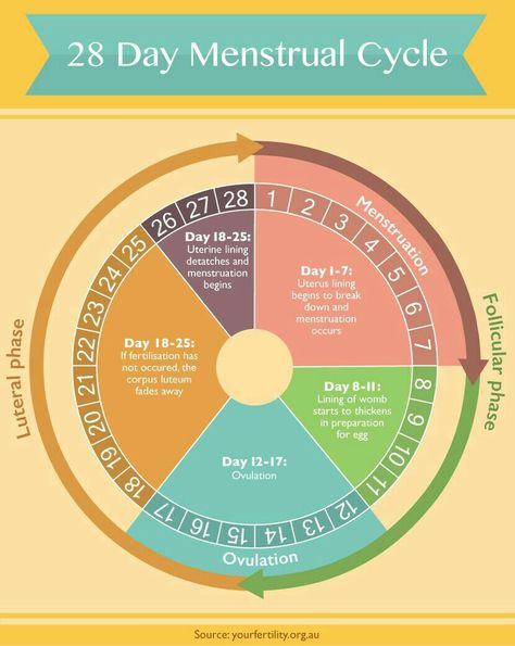 Menstrual Cycle Chart, Menstrual Cycle Phases, Menstruation Cycle, Period Cycle, Healthy Period, دورة شهرية, Menstrual Health, Feminine Health, Gum Care