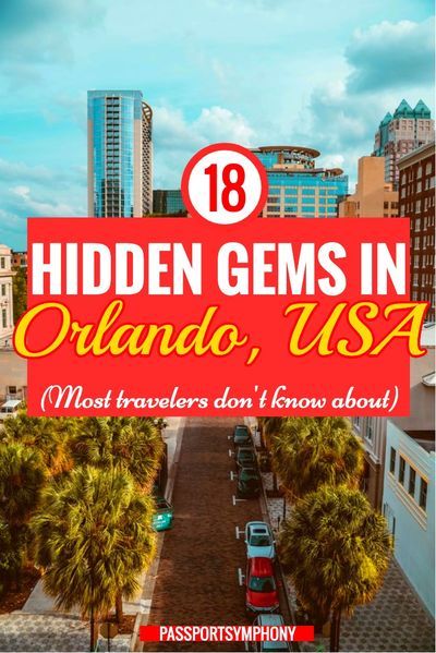 Things To Do In Orlando Besides Disney, Orlando Florida Things To Do, Orlando Itinerary, Things To Do Orlando, Orlando Florida Vacation, Orlando Activities, Things To Do In Orlando, Auntie Life, Lake Eola