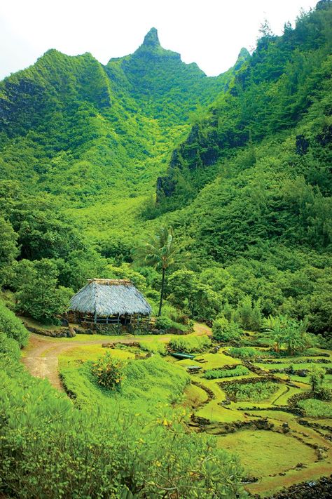 Hawaii Landscape, Hawaiian Gardens, Kauai Travel, Hawaii Magazine, Kauai Vacation, Beautiful Hawaii, Hawaiian Homes, Africa Do Sul, Landscape Design Plans