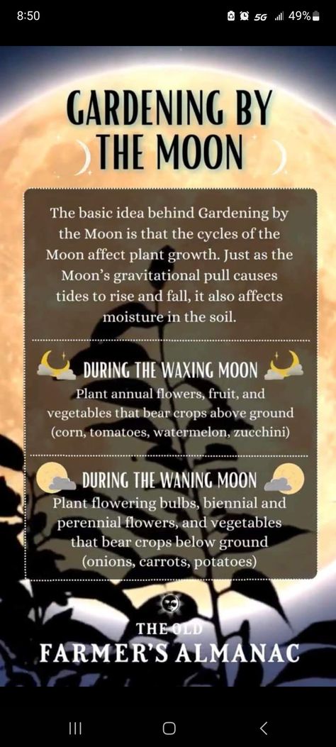 Planting By The Moon Phases, Farmers Almanac 2024, Moon Garden Plants, Planting By The Moon, Moon Gardening, Gardening By The Moon, Moon Gardens, Farming Garden, Garden Follies