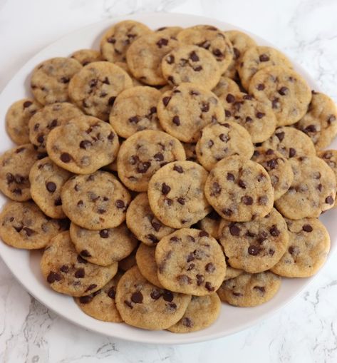 Bite-Sized Chocolate Chip Cookies – Six Vegan Sisters Bite Size Food, Easy Vegan Dessert, Idee Pasto, Läcker Mat, Think Food, Deilig Mat, Vegan Dessert Recipes, Vegan Cookies, Food Obsession