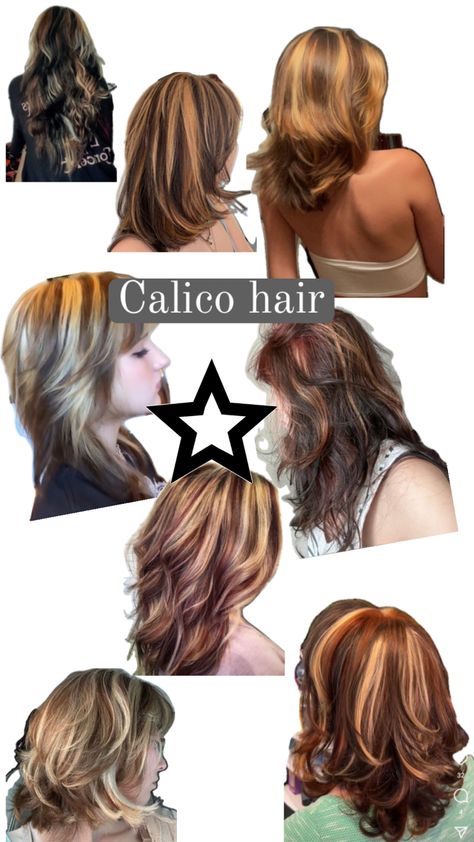 Calico Hair Color, Genderfluid Haircut, Calico Hair, Short Grunge Hair, Mom Hairstyles, Pretty Hair Color, Hair Dye Colors, Hair Inspo Color, Grunge Hair