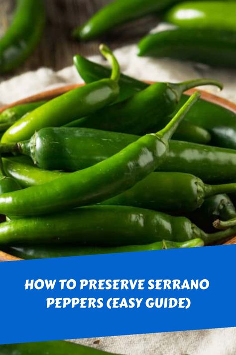 Explore various convenient techniques to extend the shelf life of your serrano peppers. Discover simple preservation methods such as refrigeration, freezing, drying, pickling, making hot sauce, or storing in oil. These methods will help you maintain the freshness of your harvest for an extended period. Embrace these easy tips to ensure you have flavorful serrano peppers at your disposal whenever needed! How To Freeze Serrano Peppers, Roasted Serrano Peppers, Canning Seranno Peppers, Freezing Serrano Peppers, Poblano Pepper Canning Recipes, Preserving Serrano Peppers, How To Freeze Anaheim Peppers, Canning Serrano Peppers, Serrano Recipes