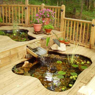 Have Your Deck—and a Pond, Too    Tom Hardy wanted a pond and a bigger deck, but he couldn't decide which he wanted more for his house in Canton, Georgia. So he enlarged the deck and put two ponds in it. He used rigid plastic tubs for the ponds, setting them into "sandboxes" under the deck. The deck boards were cut to follow the edges of the tubs. All together, the two tubs hold about 500 gallons of water and contain 18 large goldfish. A waterfall connects the higher tub to the lower one. Garden Pond, Small Tropical Gardens, Garden Ponds, Garden Pond Design, Tropical Garden Design, Pond Waterfall, Pond Design, Ponds Backyard, Unique Gardens