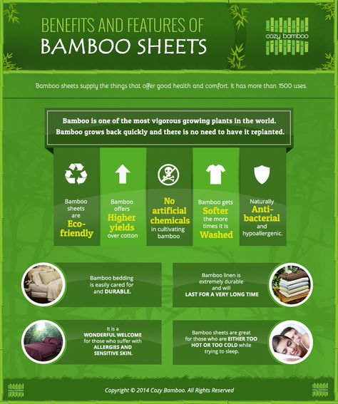 Popular Bedding, Bamboo Species, Environmentally Friendly Living, 2022 Review, Most Comfortable Bed, Bamboo Sheets Bedding, Bamboo Products, Plush Mattress, Banana Plants