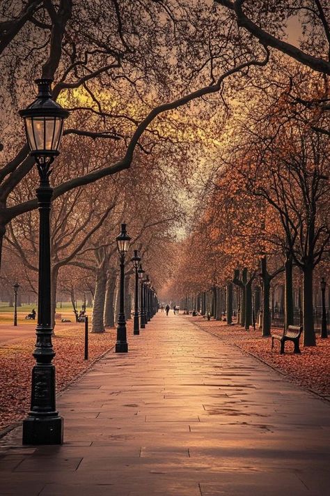 "🌿🇬🇧 Unwind in Hyde Park, London’s majestic green space! Enjoy serene walks, picturesque lakes, and historic landmarks in one of the city’s largest parks. 🌳🚲 #HydePark #London #ParkLife" London Autumn, Paradise Hotel, Hyde Park London, Autumn Park, Hyde Park, Green Space, London England, The City, Paradise