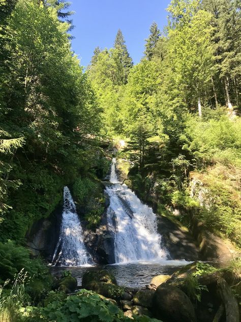 Black Forest Germany, The Black Forest, Black Forest Cake, Life Map, Forest Cake, Picnic Spot, Instagram Travel, Europe Summer, Forest Photography