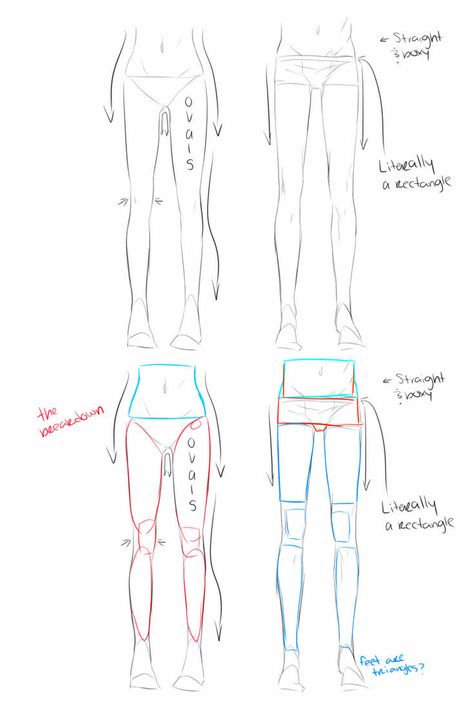 Leg Drawing Tutorial, Legs Tutorial, Legs Drawing, Leg Anatomy, Drawing Legs, How To Explain, Anatomy Tutorial, Body Drawing Tutorial, Human Drawing