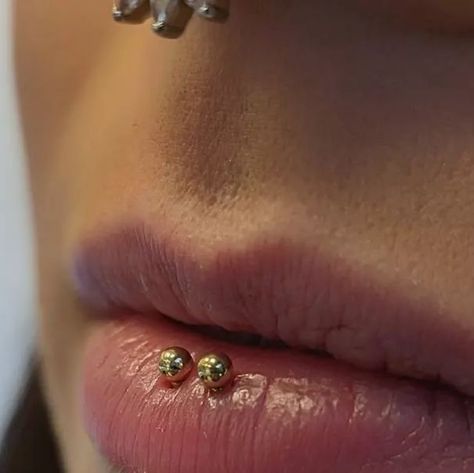 Piercer Charlie's Creations on Instagram: "Double Vertical Labret Piercings with delicate jewellery in solid Gold ✨💫  Find Ireland's largest collection of Fine Jewellery in-store at 7 D'Olier Street or online at our webstore, link in bio!" Double Labret Piercing, Double Vertical Labret, Piercing Vertical Labret, Vertical Labret Piercing, Piercing Inspiration, Vertical Labret, Delicate Jewellery, Labret Piercing, Delicate Jewelry