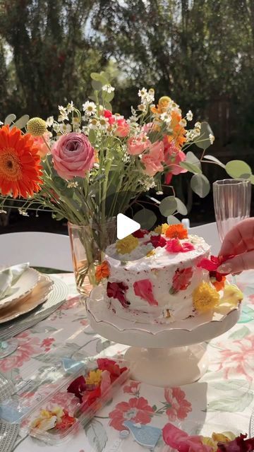 Bonnie Barton on Instagram: "Cottagecore cake DIY 🌷🌸🌼 A store-bought cake glowup, using beautiful edible flowers! 🫶🏻🍰💐 I got my flowers from Whole Foods and cake from a local grocery store (HEB). SUCH an easy upgrade and makes for the most beautiful cake and dinner centerpiece 🥲🎂 #cottagecoreaesthetic #springdessert #springvibes 

Spring is here, spring hosting, cottagecore vibes, flower cake, spring aesthetic, garden party" Spring Hosting, Aesthetic Garden Party, Cottagecore Cake, Cake Spring, Dinner Centerpieces, Cake Diy, Cottagecore Vibes, Store Bought Cake, Aesthetic Garden