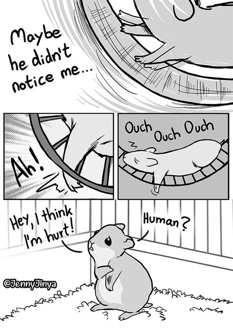 Artist Who Makes People Cry With Her Animal Comics Just Released A New One About A Neglected Hamster Happy Comics, Animal Comics, Instagram Vs Real Life, Stories That Will Make You Cry, Life Comics, Hams, Cute Stories, Cute Comics, Comic Artist